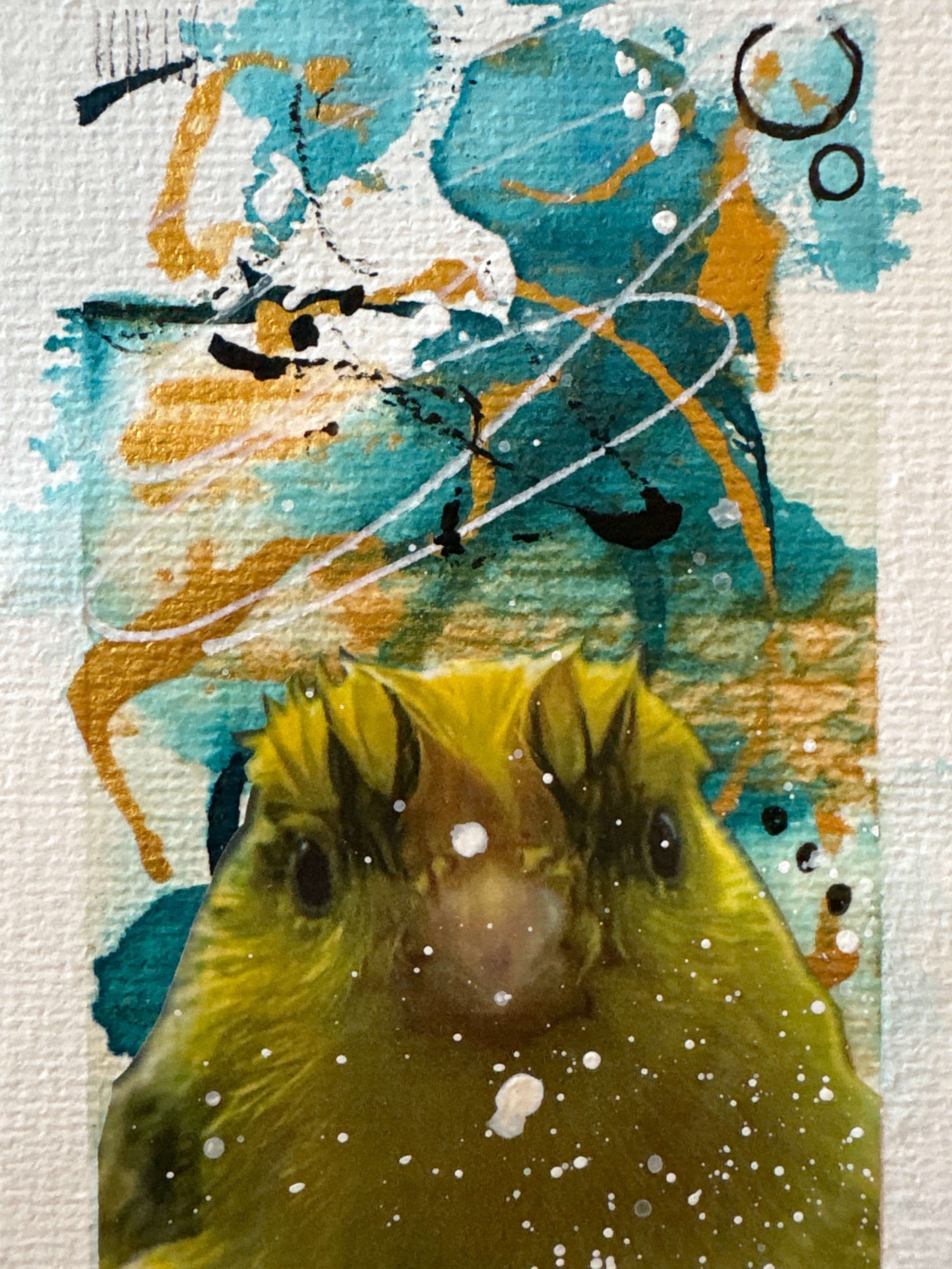 Owl Portrait